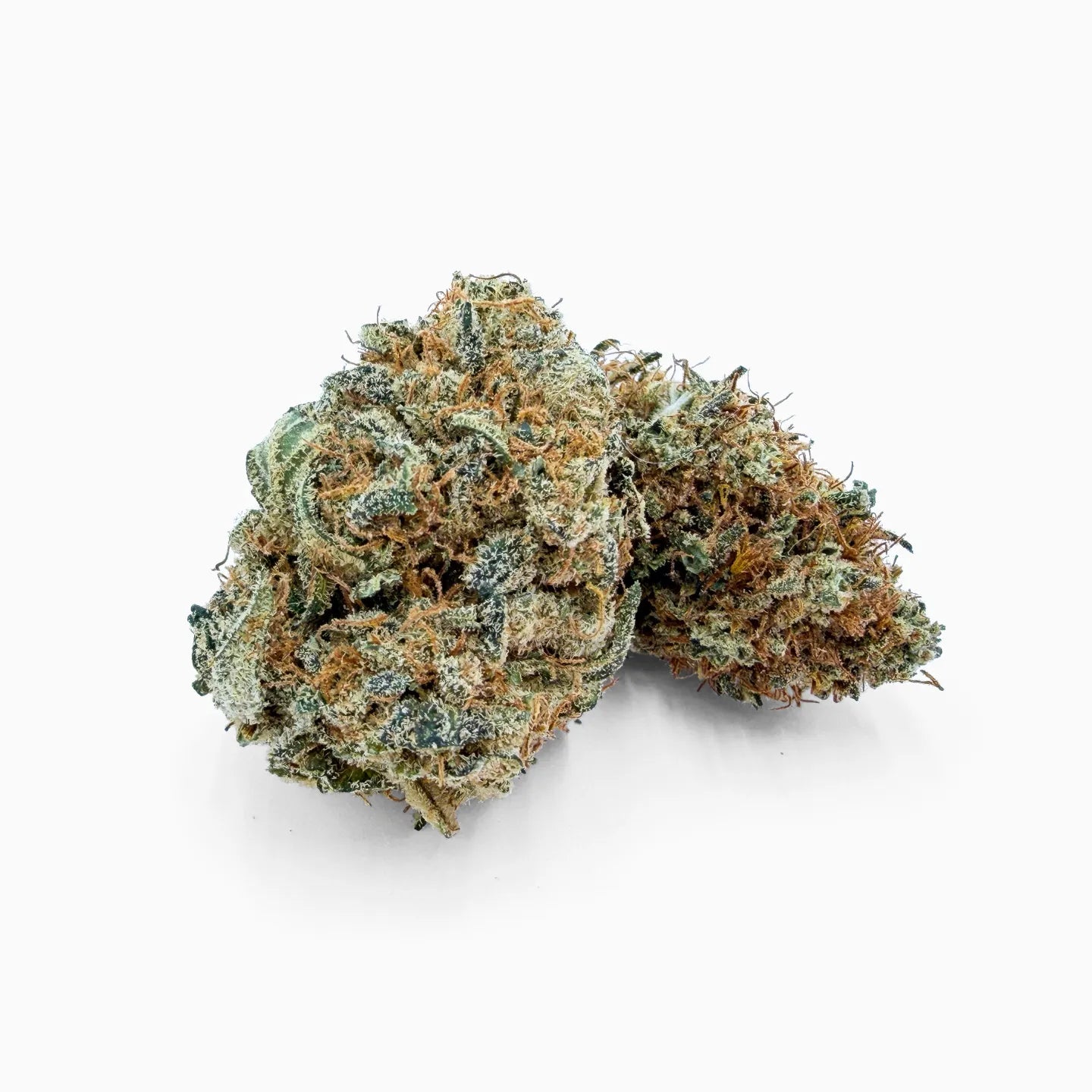 Platinum Jack CBD flower close-up - dense frosty buds with orange hairs on white background
