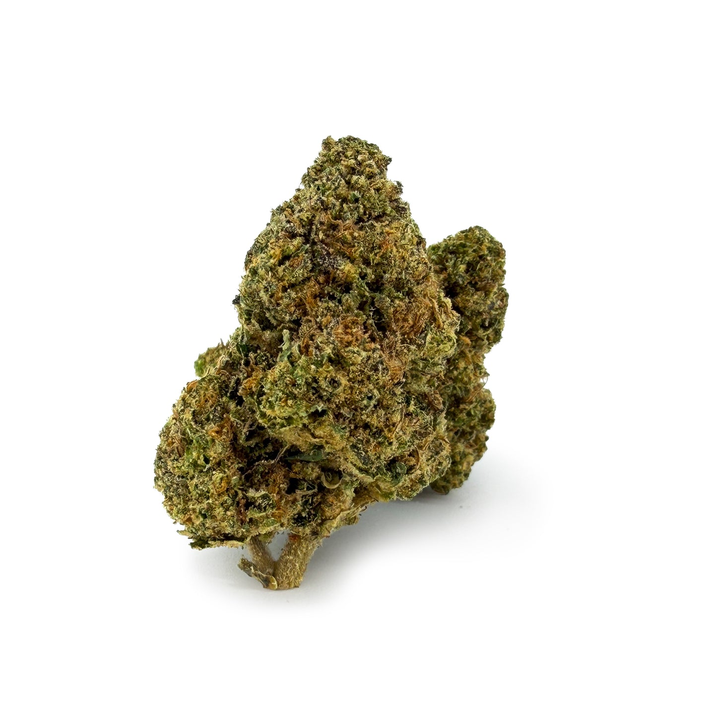 THC-A 31% Flower Biscotti Mintz