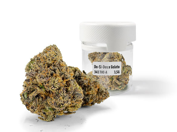THC-A 34% Flower Do-Si-Dos x Gelato