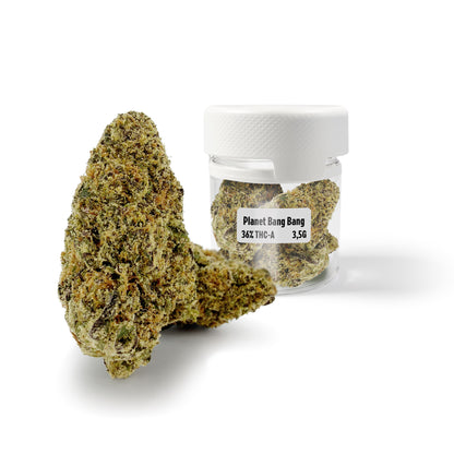 THC-A 36% Flower Planet Bang Bang