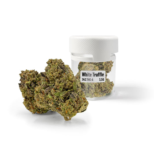 THC-A 34% Flower White Truffle