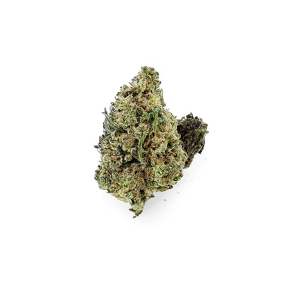 Close-up of Rollz California Love indoor THCA dried flower buds on a white background