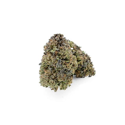 Close-up of Rollz Montgomery Benz indoor THCA dried cannabis flower buds on a white background