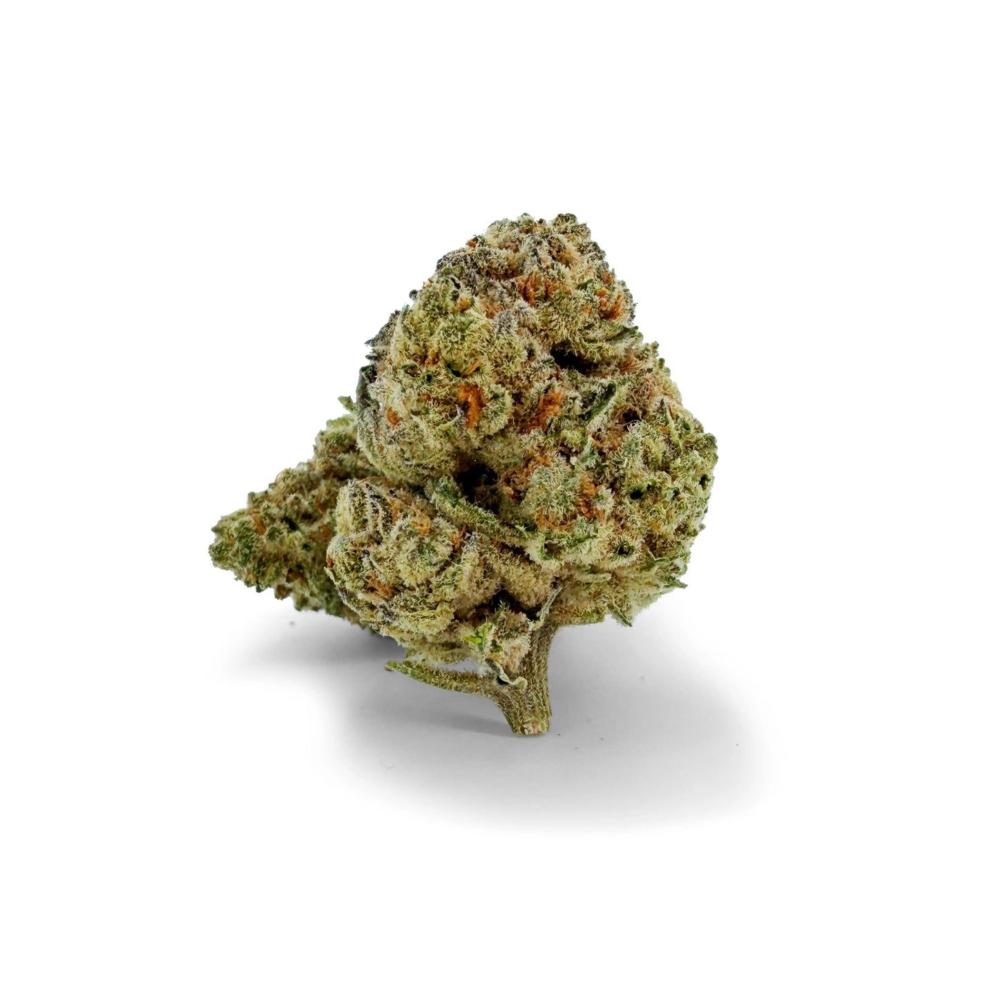 THC-A 29% Flower White Truffle