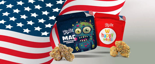 Balíček First Taste - 5x 3g našich Bestsellerů