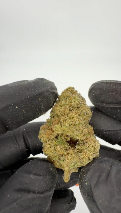 THC-A 31% Flower Biscotti Mintz