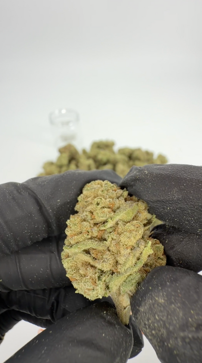 THC-A 29% Flower White Truffle