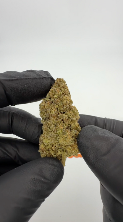 THC-A 34% Flower Lemonatti