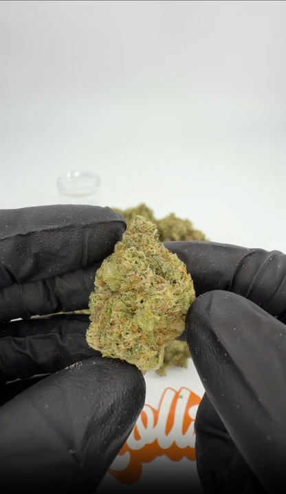 Do-Si-Dos x Gelato 30% THCA