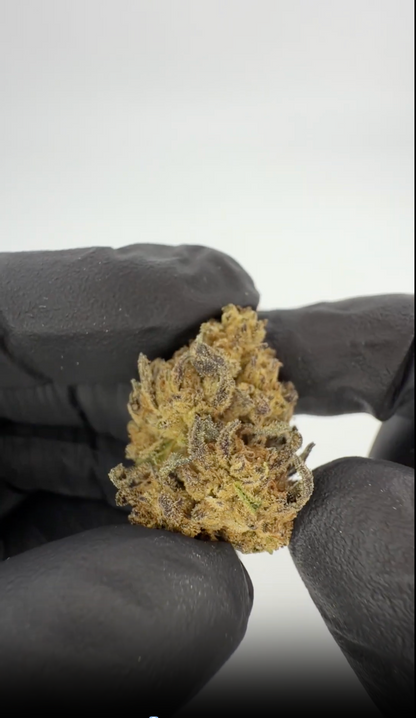 California Love THCA Blume