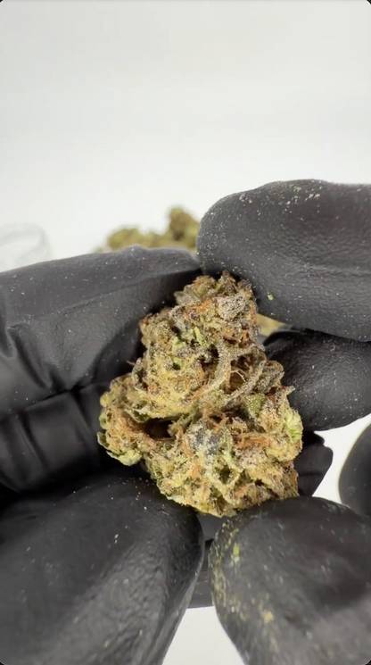 Biscotti Mintz 31% THCA