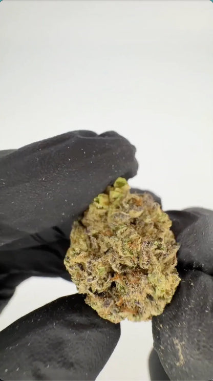 Blueberry Muffin THCA Flower