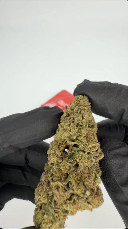 Cartel Cola THCA Flower