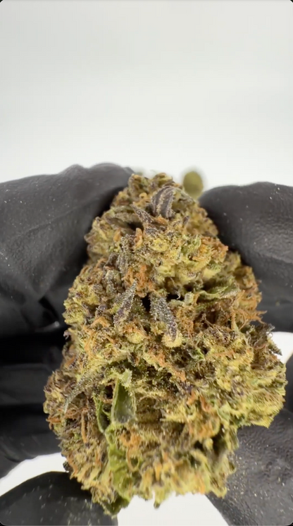 Gary Payton 31% THCA