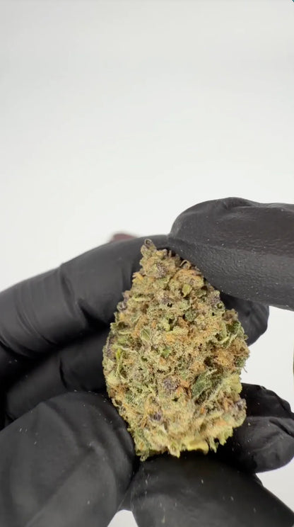 SNIFFERS THCA Flower