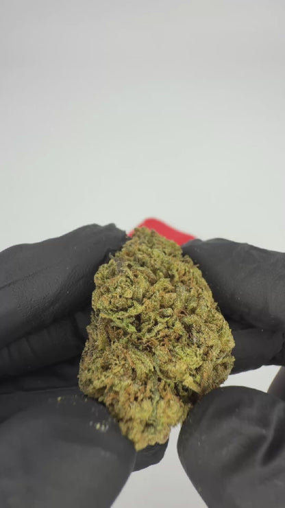 THC-A Flower Cartel Cola