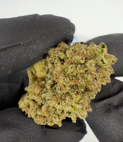 THC-A Flower Blueberry Muffin