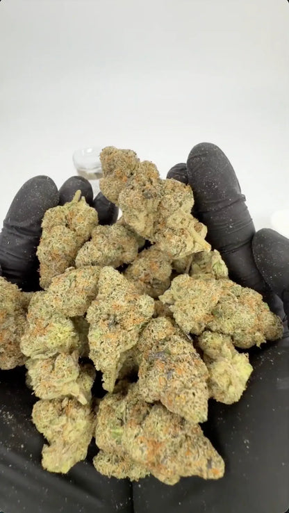 Do-Si-Dos x Gelato 30% THCA
