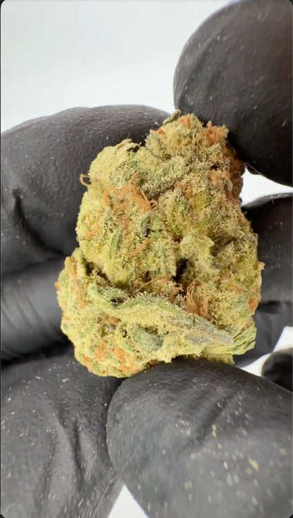 White Truffle 29% THCA