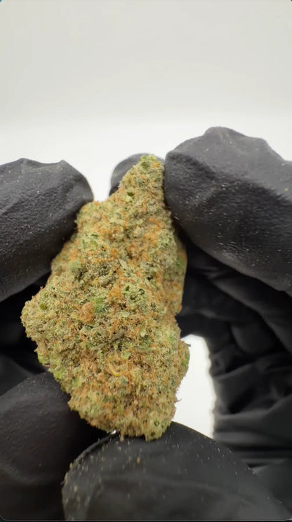 White Russian THCA Květ