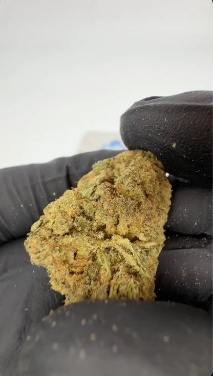 Blueberry Muffin THCA Kvety