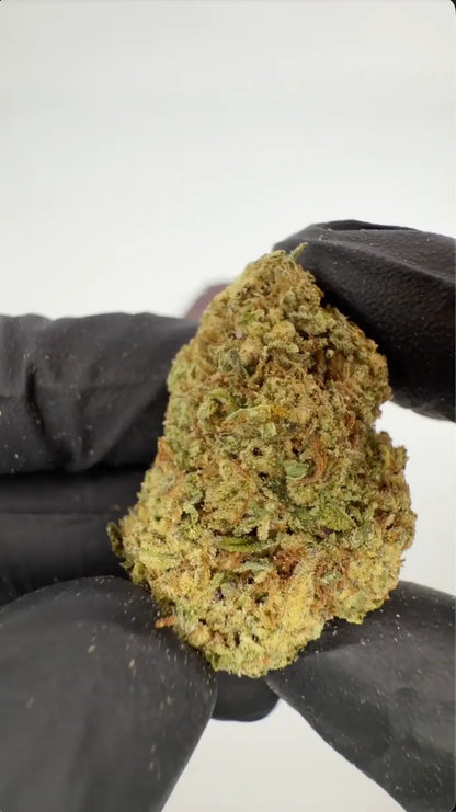 SNIFFERS THCA Flower