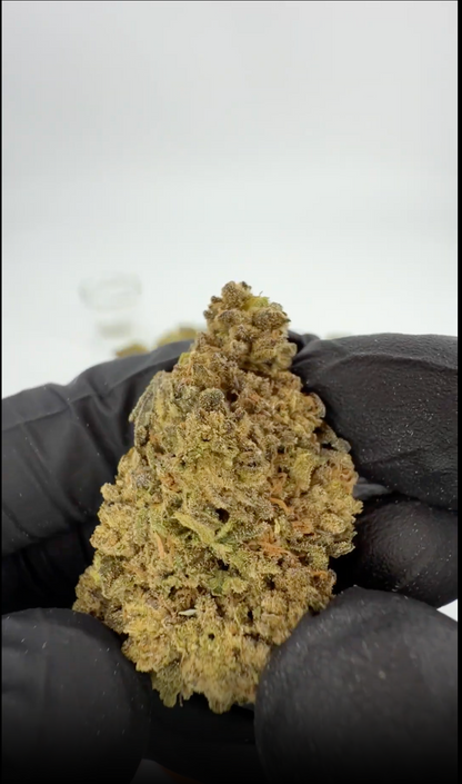 Gary Payton 31% THCA