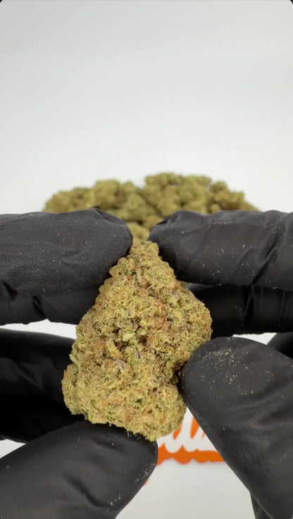 Pacific White 27% THCA