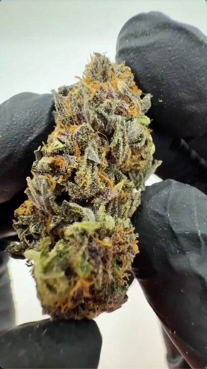 SNIFFERS THCA Flower