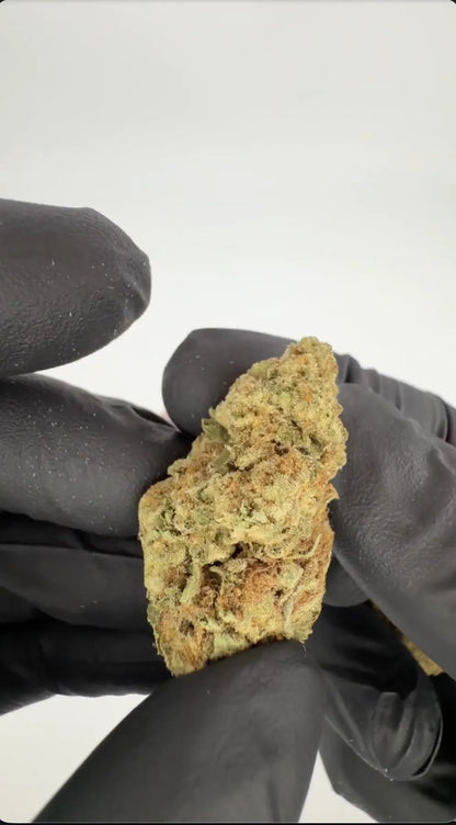 White Russian THCA Flower