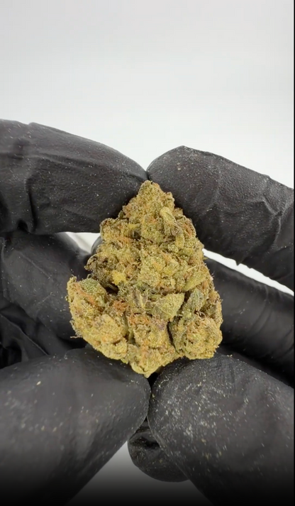 Blueberry Muffin THCA Blomst