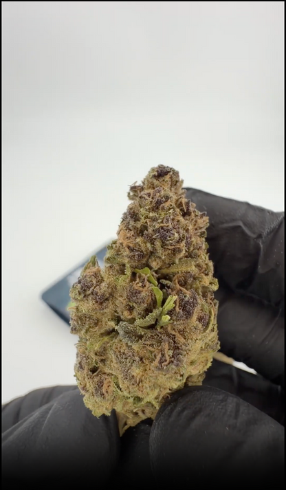 Wunder-Alien-Kekse (CALI) THCA Blume