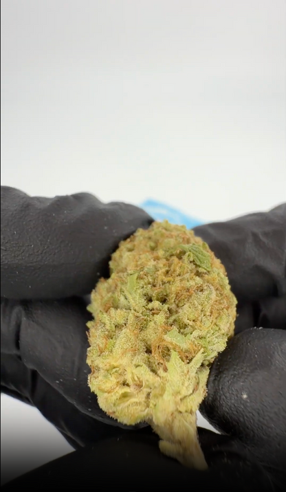 Montgomery Benz THCA Flower