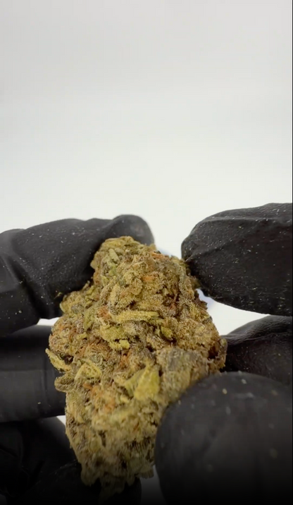 White Russian THCA Flower