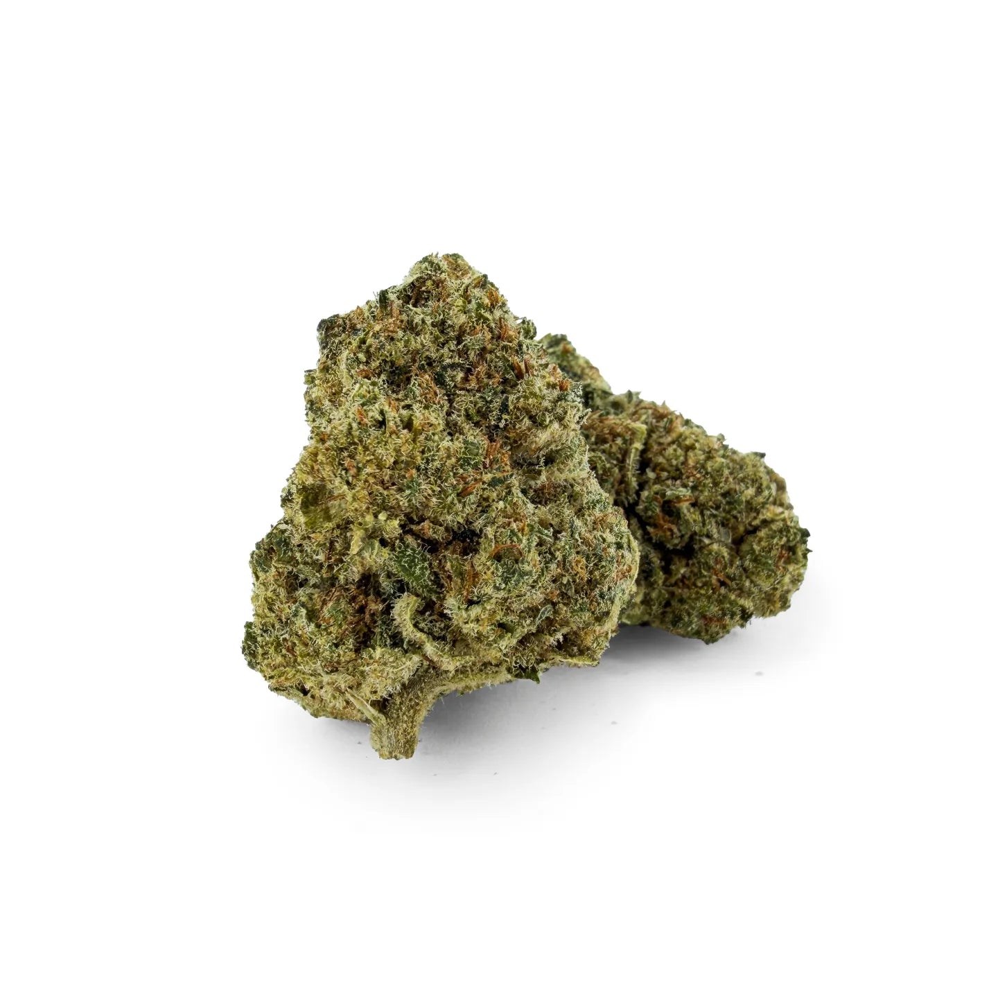 Close-up of Rollz Blueberry Muffin indoor THCA cannabis flower buds on a white background