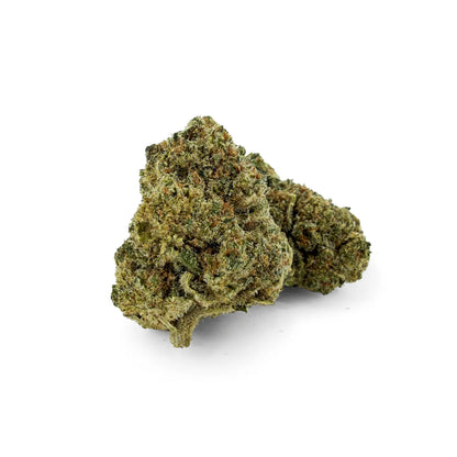 Close-up of Rollz Blueberry Muffin indoor THCA cannabis flower buds on a white background