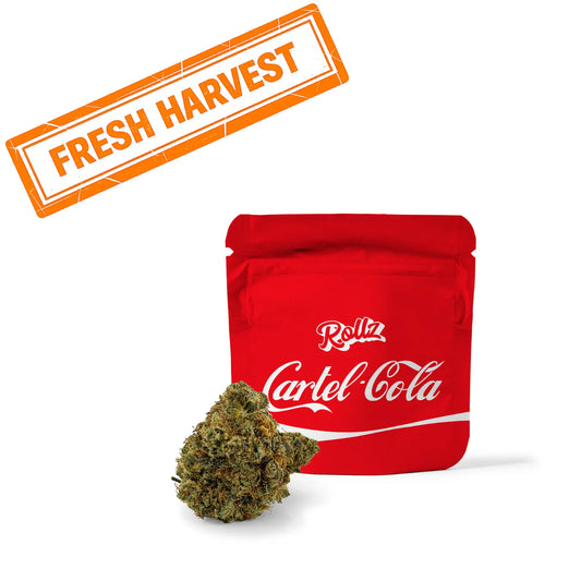 Cartel Cola THCA Blume