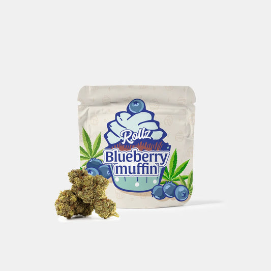 Blueberry Muffin THCA Blomst