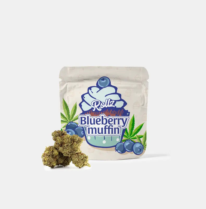 Rollz Blueberry Muffin THCA indoor dried flowers – own plantation & production.
