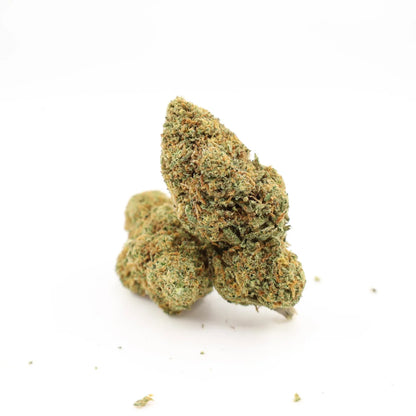 Close-up of Rollz California Love indoor THCA dried flower buds on a white background