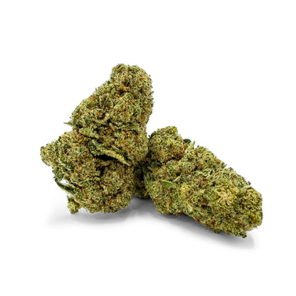 Close-up of Rollz California Love indoor THCA dried flower Liberty Haze buds on a white background