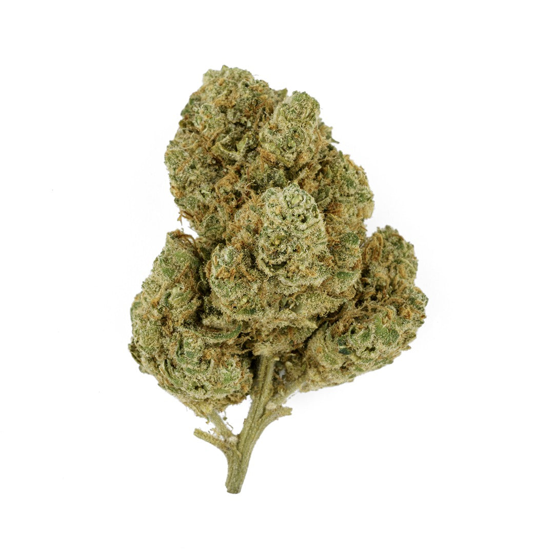 Close-up of a cannabis bud on a white background