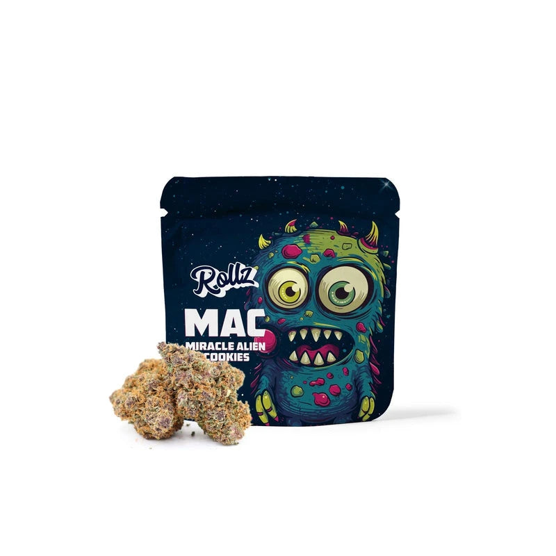 Rollz Miracle Alien Cookies THCA indoor dried flower – own cultivation and production.