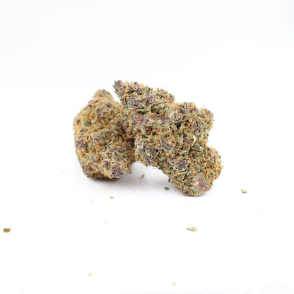 Close-up of Rollz Miracle Alien Cookies frosty cannabis flower buds with purple specks and orange hairs on a white background.