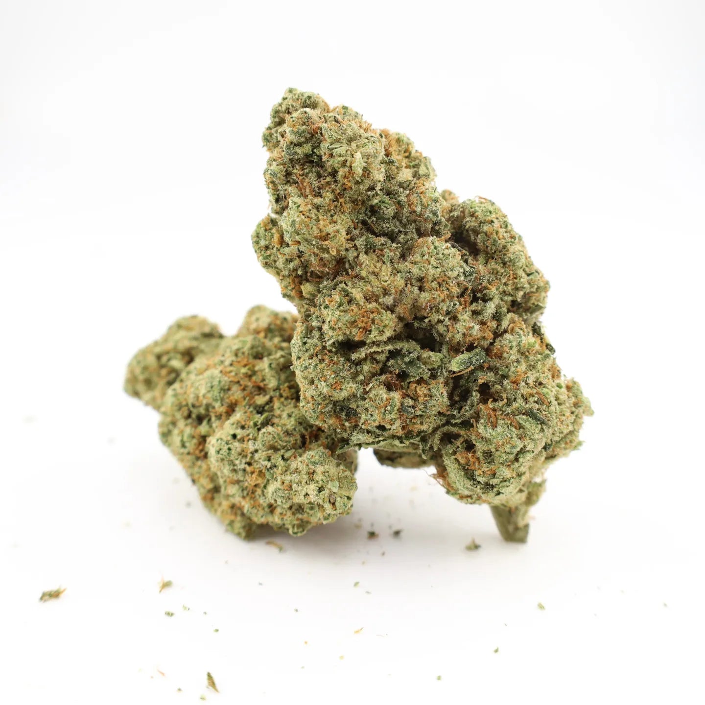 Close-up of Rollz Montgomery Benz indoor THCA dried cannabis flower buds on a white background