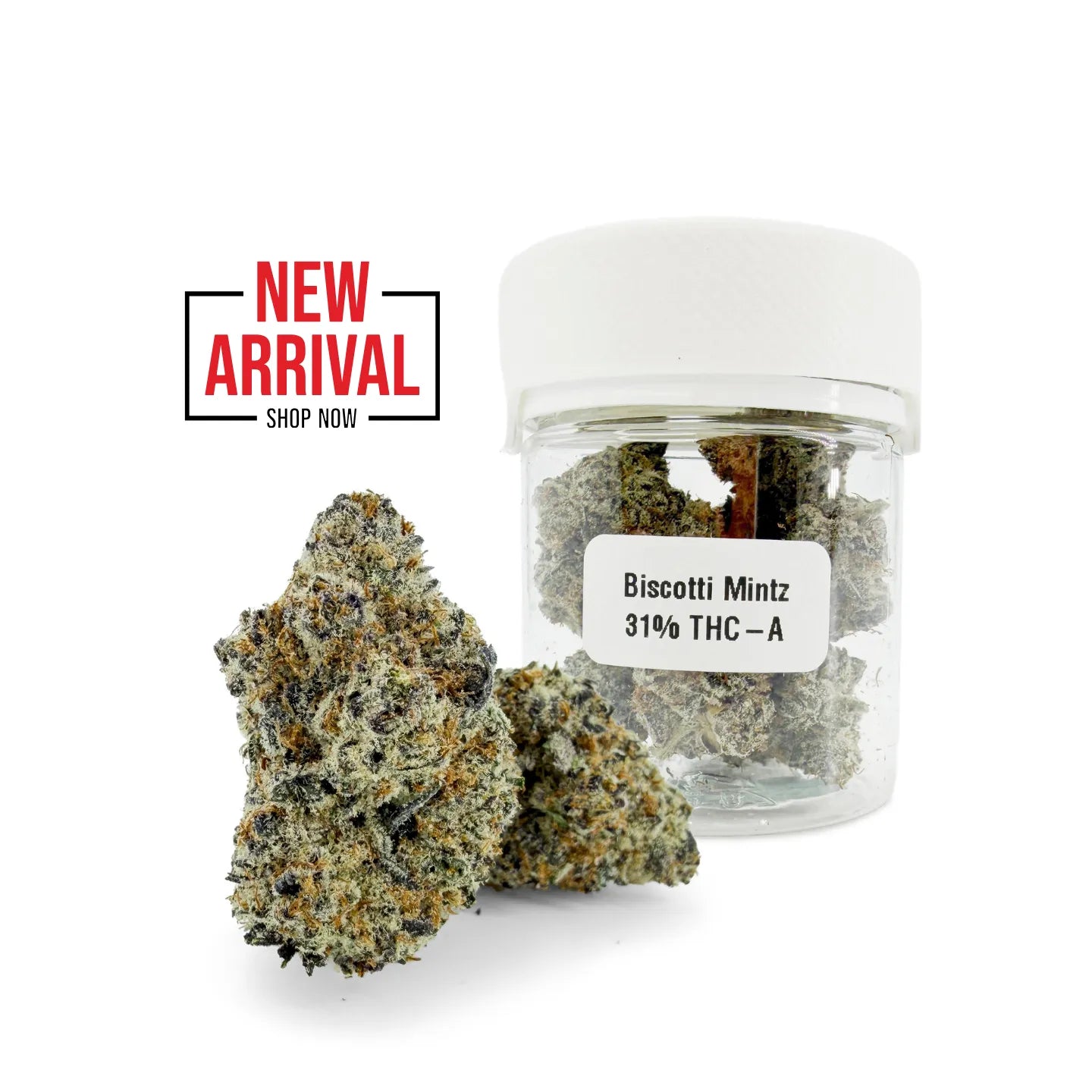 Biscotti Mintz 31% THCA