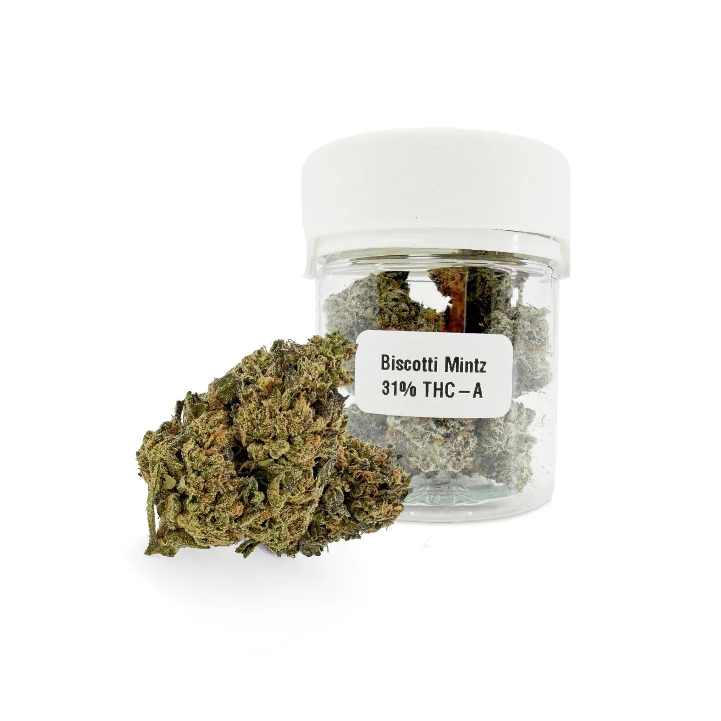 Biscotti Mintz 31% THCA