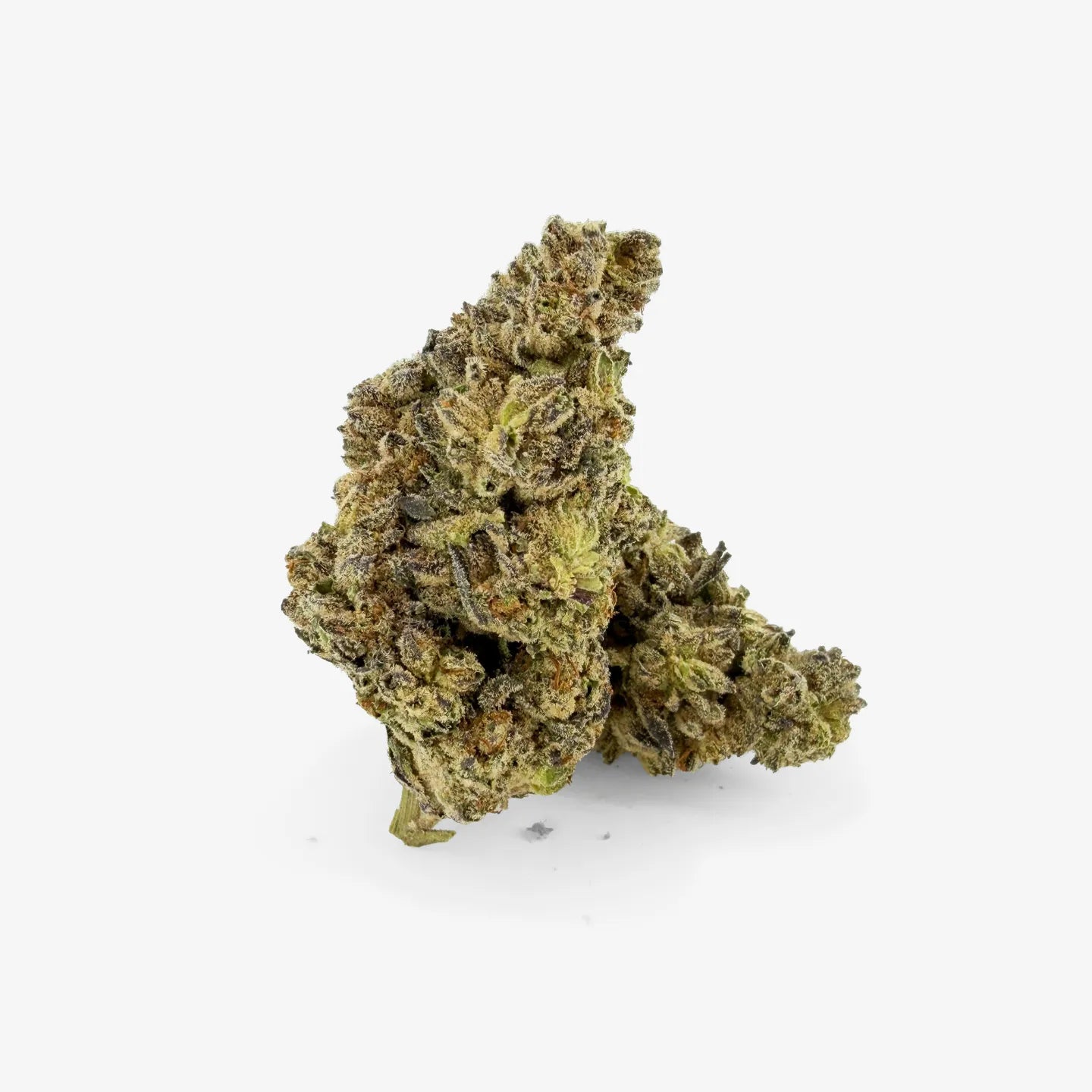 Close-up of Rollz Blueberry Muffin indoor THCA cannabis flower buds on a white background