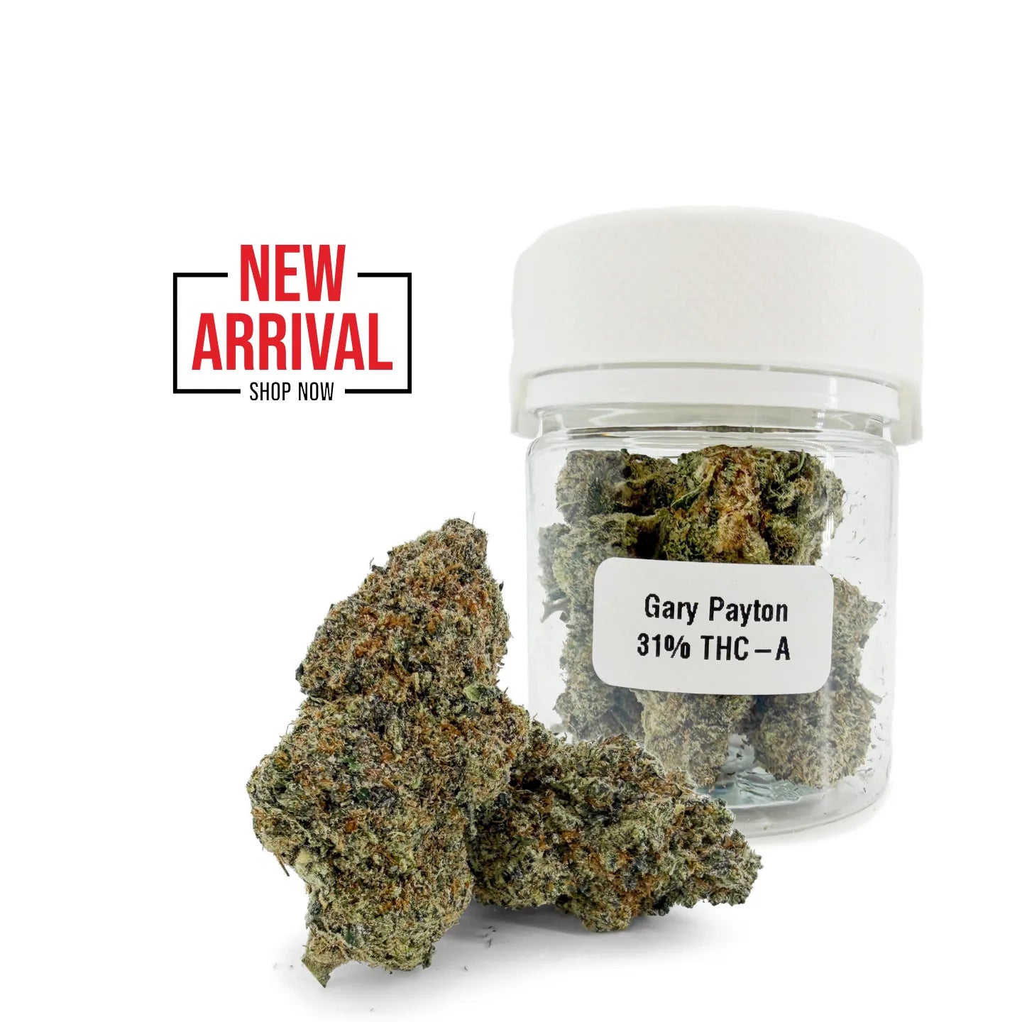 Gary Payton 31% THCA