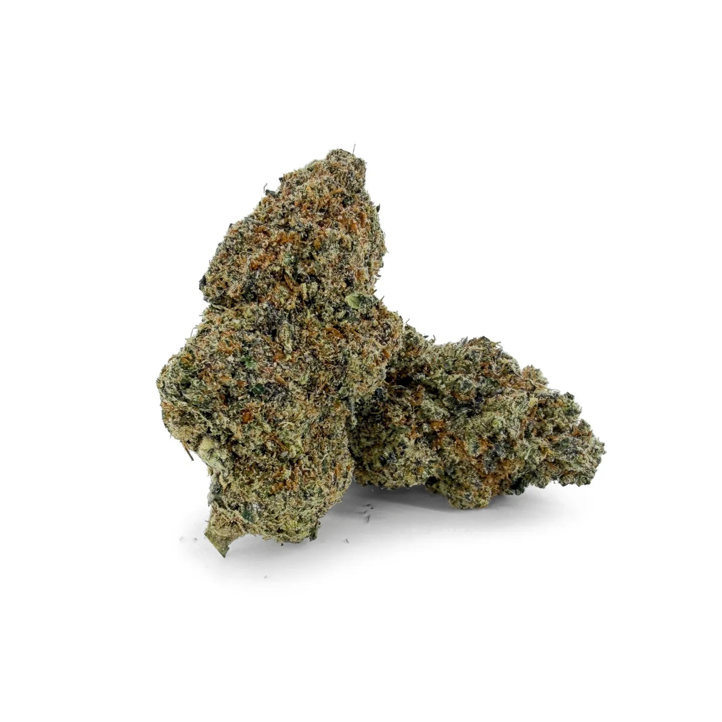 Gary Payton 31% THCA